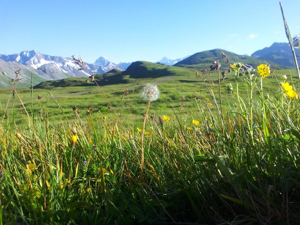 Berggasthaus Tannalp Melchsee Frutt Bagian luar foto